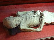 Tíz évig feküdt lakásában egy nõ mumifikálódott holtteste Ukrajnában