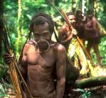 Összeszámlálták a fán élõ indonéz törzs tagjait